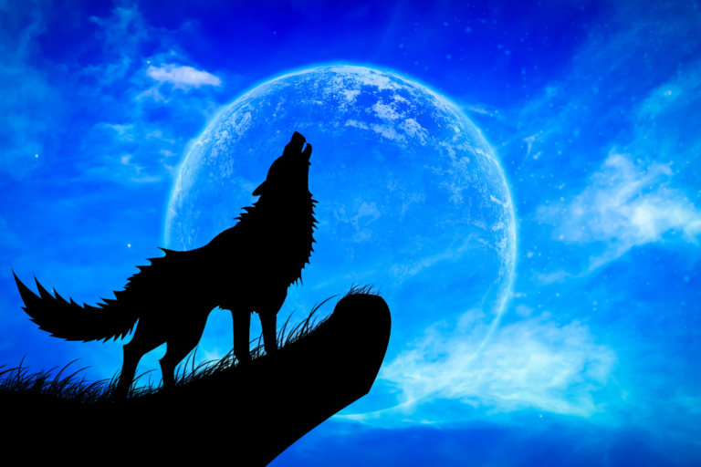 Deciphering the Meaning of Wolf Dreams: Insights from the Subconscious and Self-Discovery